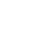 Badger Holdings
